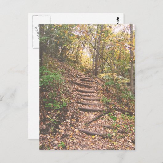 Treppen in den Wald Postkarte (Vorne/Hinten)