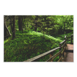 Treppen ins grüne Land Fotodruck