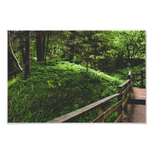 Treppen ins grüne Land Fotodruck (Vorne)