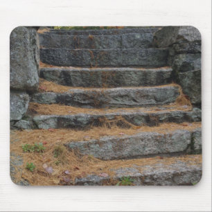 Treppen mit Kiefernnadeln, Weißer Berg Mousepad