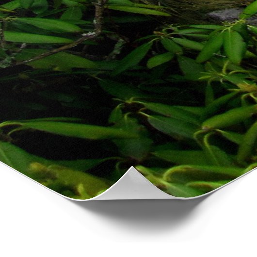 Treppen zu den Wolken, Appalachen-Pfad Poster (Ecke)