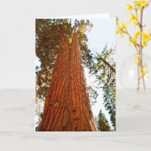 Treppenbaum, Yosemite Karte (Gelbe Blume)