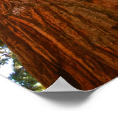 Treppenbaum, Yosemite Poster (Ecke)