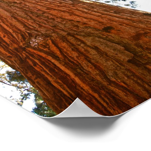 Treppenbaum, Yosemite Poster (Ecke)