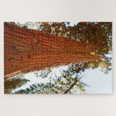 Treppenbaum, Yosemite Puzzle (Horizontal)
