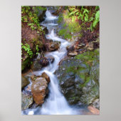 Treppenfall Poster (Vorne)