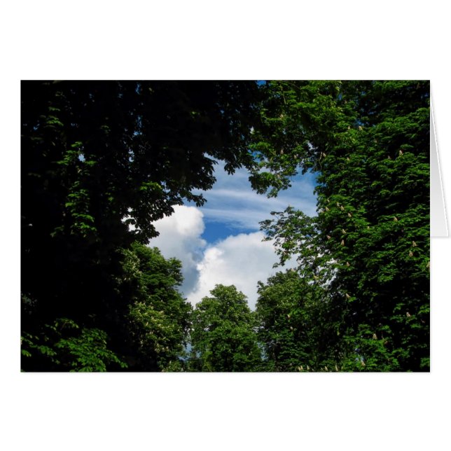 Treppenfenster (Vorderseite (Horizontal))