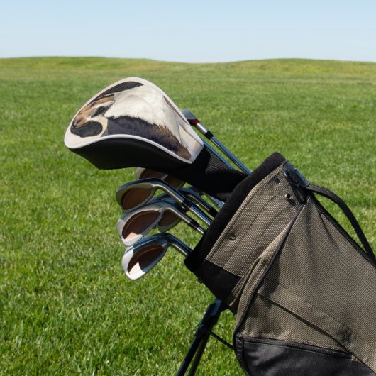 Treppenhandgemälde - Originelle Kunst Golf Headcover (In SItu)