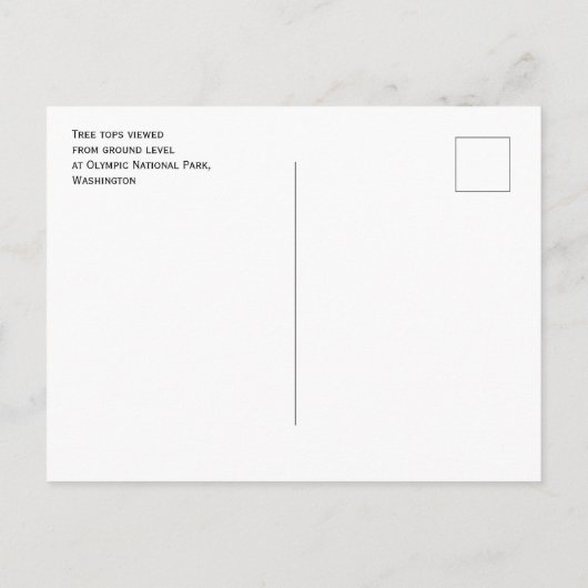 Treppenhaus Blick vom Olympischen Nationalpark Erd Postkarte (Rückseite)
