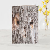 Treppenkarte für den Speckerbach Karte (Gelbe Blume)