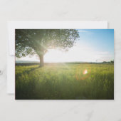 Treppenlandschaft Foto - Hochzeitsankündigung Einladung (Rückseite)