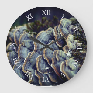 Treppenmushrooms Foto Wall Clock Große Wanduhr
