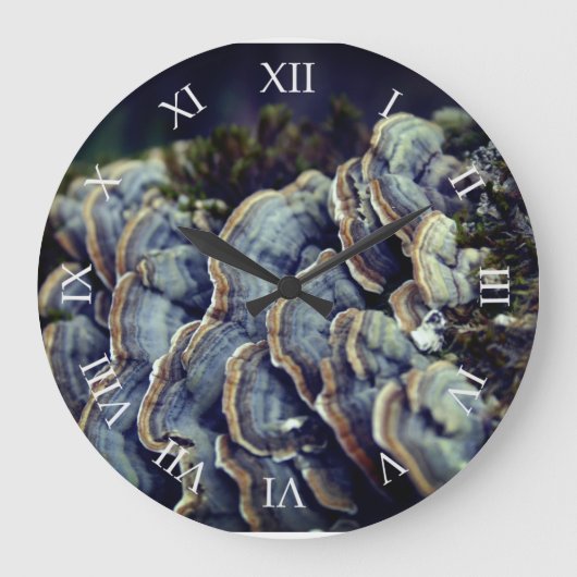 Treppenmushrooms Foto Wall Clock Große Wanduhr (Vorderseite)