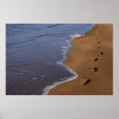 Treppenplakat Poster (Vorne)