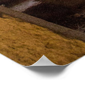 Treppenruinen in Miletus Poster (Ecke)