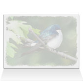 Treppenschläfer - 5" x 7" Art-Card (Innenansicht Horizontal (Oben))