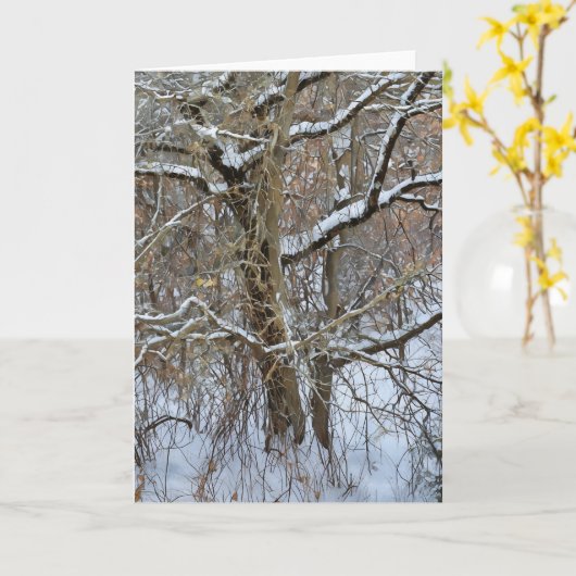 Treppenschneewinterkunstkarte Karte (Gelbe Blume)