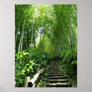 Treppenstufen des Bambo-Waldes Printing Poster