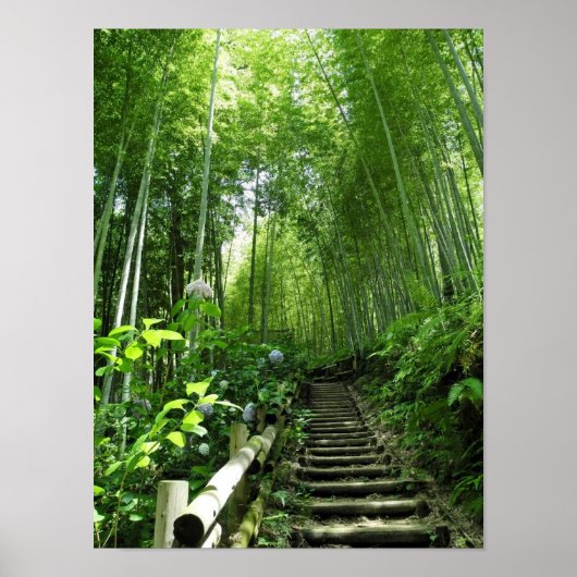 Treppenstufen des Bambo-Waldes Printing Poster (Vorne)