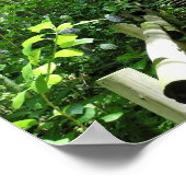 Treppenstufen des Bambo-Waldes Printing Poster (Ecke)