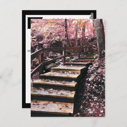Treppentraum Postkarte (Vorne/Hinten)