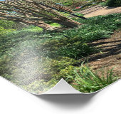 Treppenweg mit vielen Bäumen Fotodruck (Ecke)