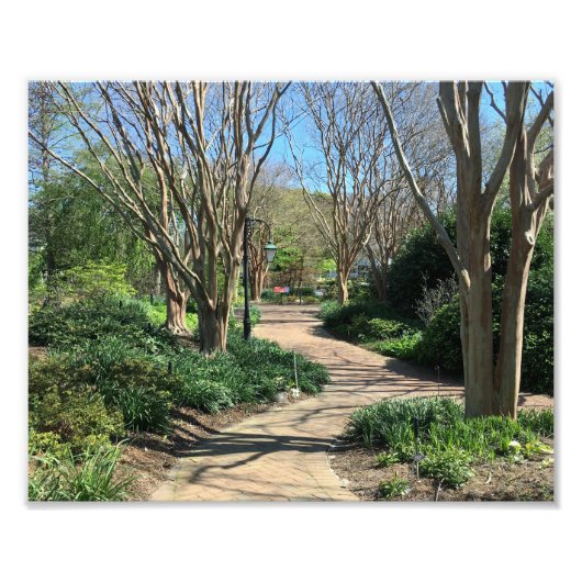 Treppenweg mit vielen Bäumen Fotodruck (Vorne)