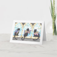Tres Gatos… 3 Katzen