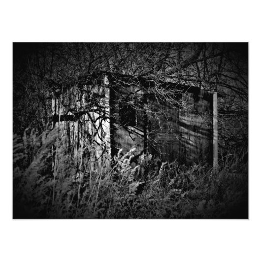 "Trespass Fieber" Fotodruck (Vorne)