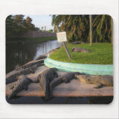 Trespassers werden gegessen! Mauspad (Vorne)