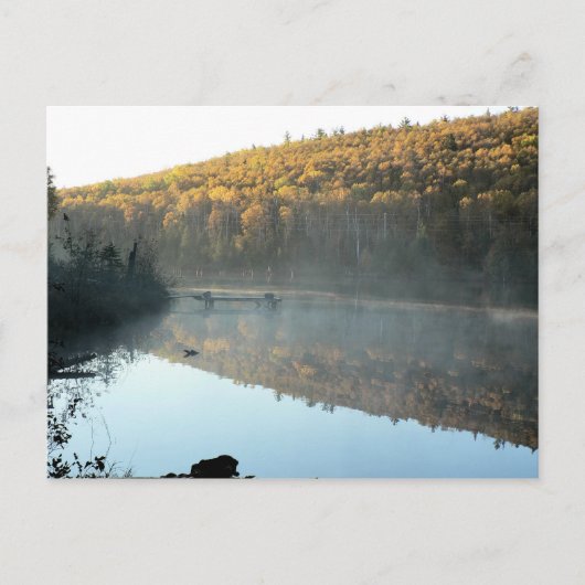 Trestle Pine Morning Postcard Postkarte (Vorderseite)