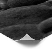 TRESTLES, SAN ONOFRE STAAT BEACH, CA, USA POSTER (Ecke)