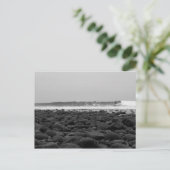 TRESTLES, SAN ONOFRE STAAT BEACH, CA, USA POSTKARTE (Stehend Vorderseite)