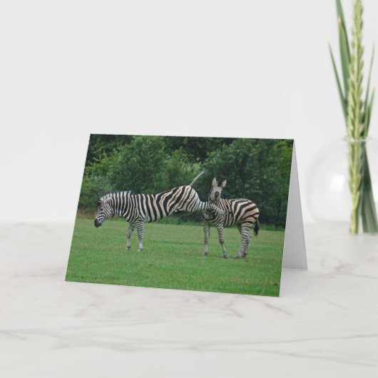 Treten der Zebragrußkarte Karte (Vorderseite)