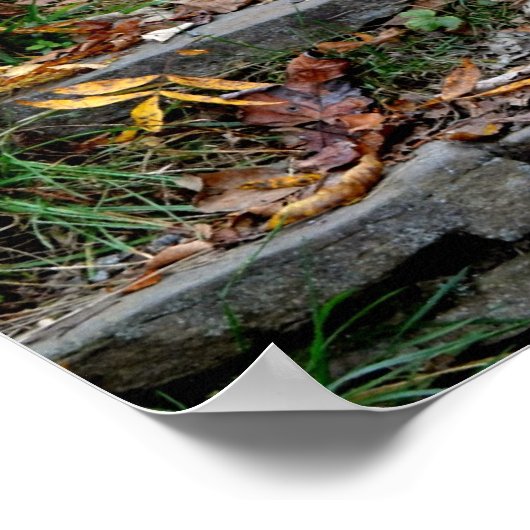 Treten Sie ein in das Appalachian Trail Poster (Ecke)