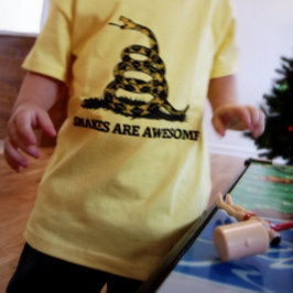 Treten Sie nicht auf meiner Flagge Parodie T-Shirt