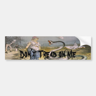 Schlange Autoaufkleber Abziehbilder Und Auto Magneten Zazzle De