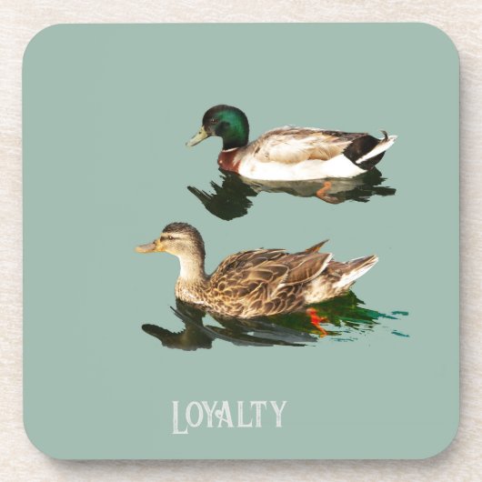 Treue der Enten Getränkeuntersetzer (Vorderseite)