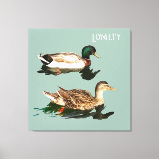 Treue der Enten Leinwanddruck (Vorderseite)