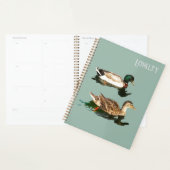 Treue der Enten Planer (Anzeige)