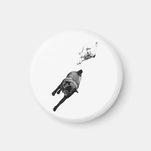 Treue Freunde, Küchenmagnet Magnet (Vorne)