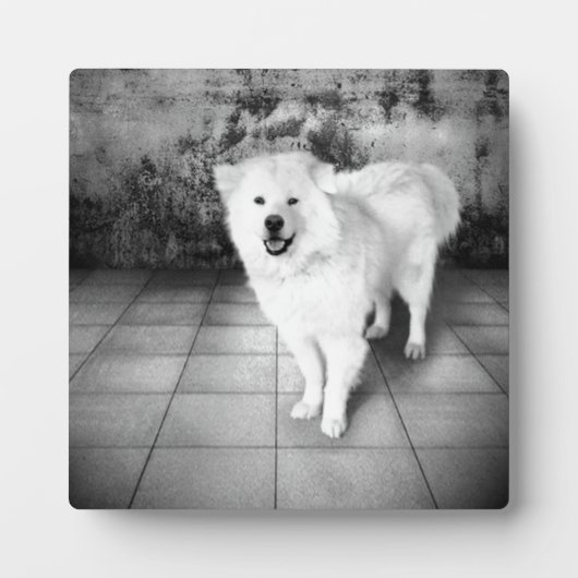 Treue Liebe Fotoplatte (Vorderseite)