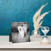 Treue Liebe Fotoplatte (InSitu)