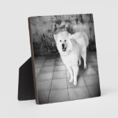 Treue Liebe Fotoplatte (Vorderseite)