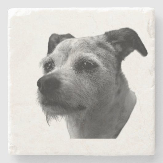 Treuer Begleiter – Parson Russell Terrier Steinuntersetzer (Vorderseite)