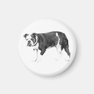 Treuer Bulldogge, Ausdrucksstarker Schatten Magnet
