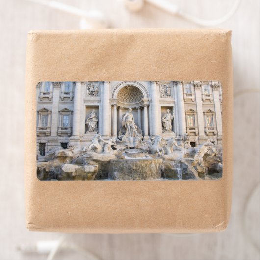 Trevi Fountain (Insitu)