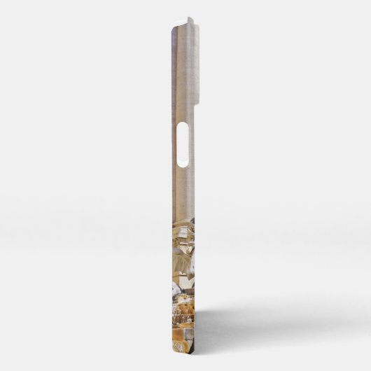 Trevi Fountain iPhone Hülle (Rechte Seite)