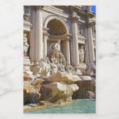 Trevi Fountain Lebensmitteletikett (Einzelnes Label)