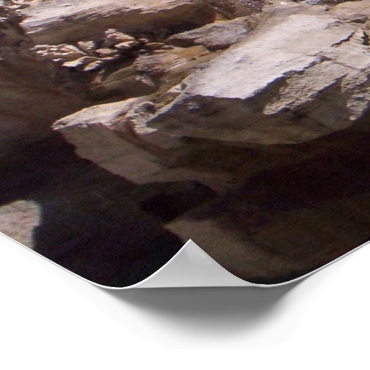 Trevi Fountain Poster (Ecke)